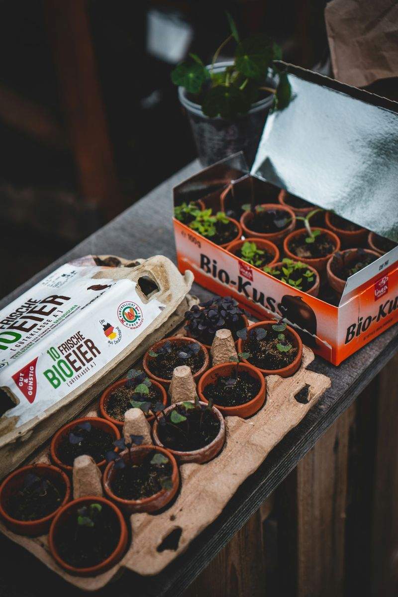 翠景庭園設計 12