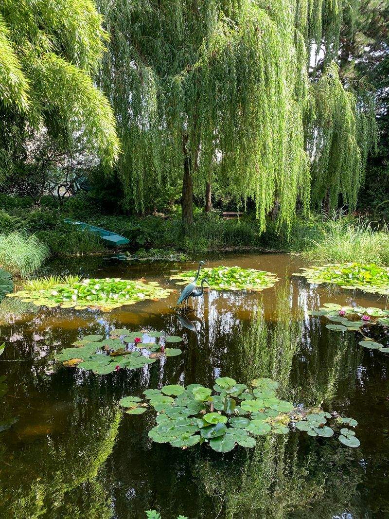翠景庭園設計 13